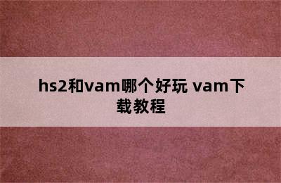 hs2和vam哪个好玩 vam下载教程